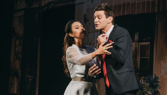 Спектакль «Идеальный свидетель»