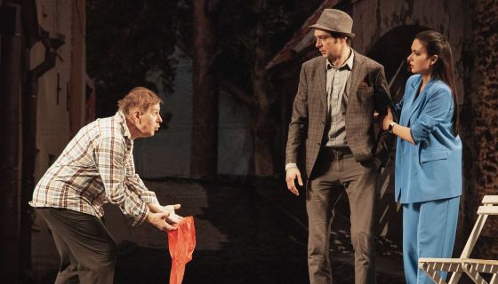 Спектакль «Идеальный свидетель»