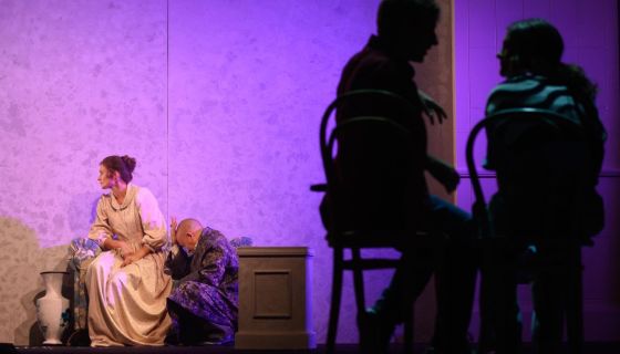 Спектакль «Обыкновенная история»