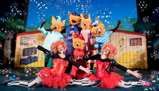 Шоу «Три кота. День варенья»