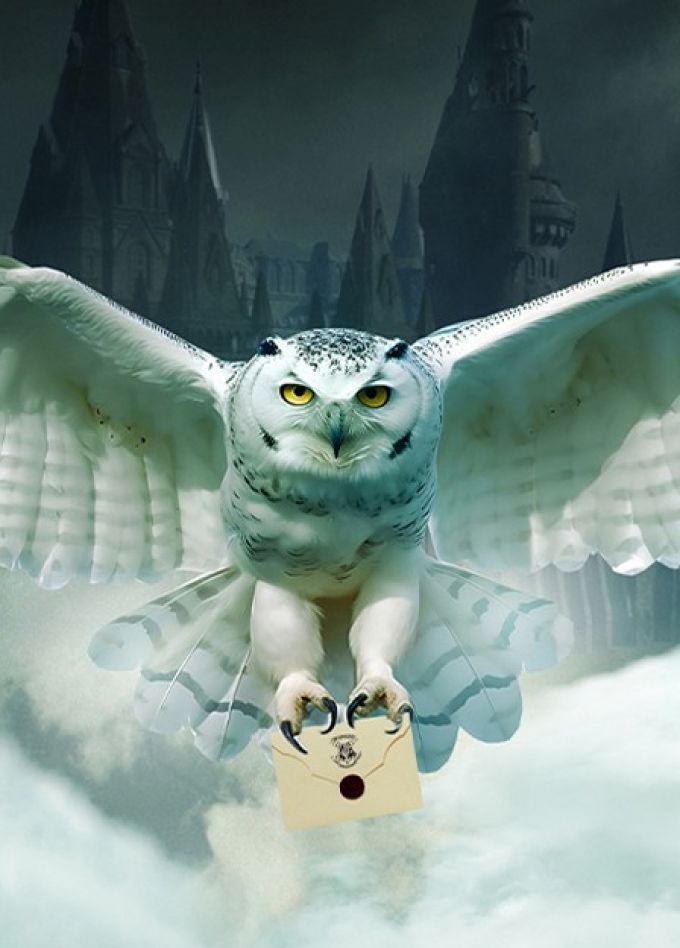 Оркестр Sonorus. Гарри Поттер