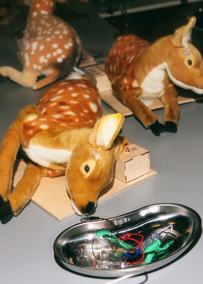 Научный новый год Sciencely