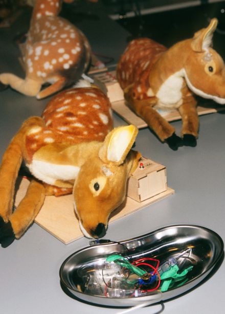 Научный новый год Sciencely