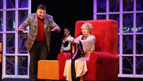 Спектакль «Очень дорогая тётя»