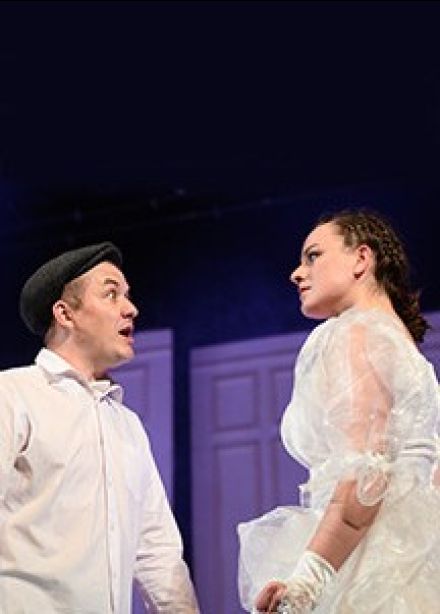 Спектакль «Укрощение строптивой»