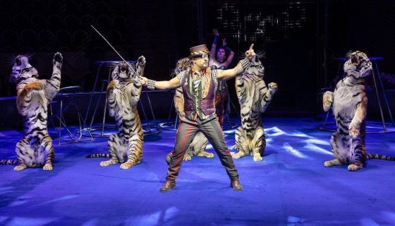 Цирк «Новогодняя Феерия»