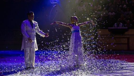 Цирк «Новогодняя Феерия»