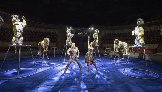 Цирк «Новогодняя Феерия»