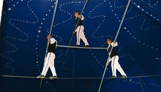 Цирк «Новогодняя Феерия»