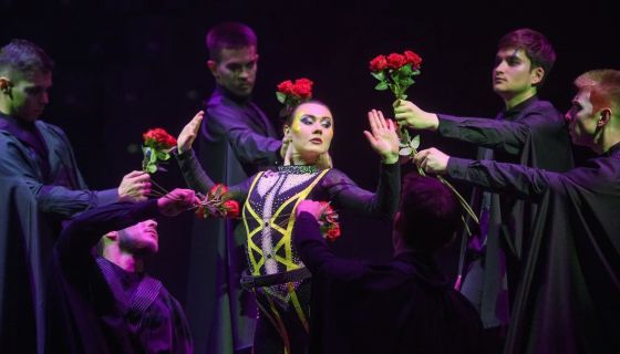 Цирк «Новогодняя Феерия»