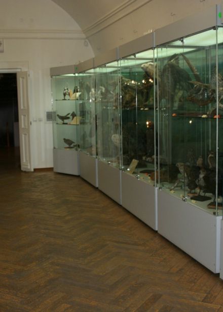 Экскурсия по всем выставкам первого этажа