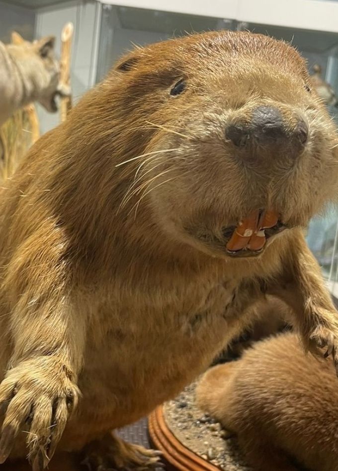 Мы — то, что мы едим