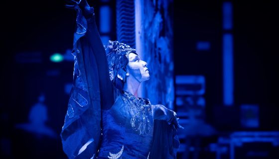 Лето пируэта. Балет «Лебединое озеро»