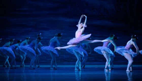 Лето пируэта. Балет «Спящая красавица»