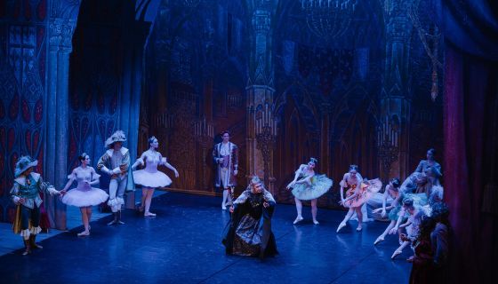 Лето пируэта. Балет «Спящая красавица»